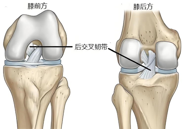 微信图片_2025-10-31_103114_073 微信图片_2025-10-31_103114_073