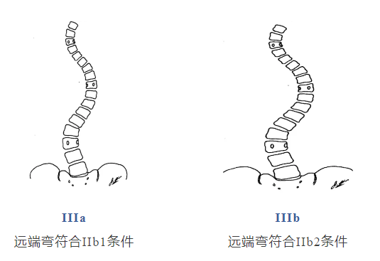微信图片_20250627125235