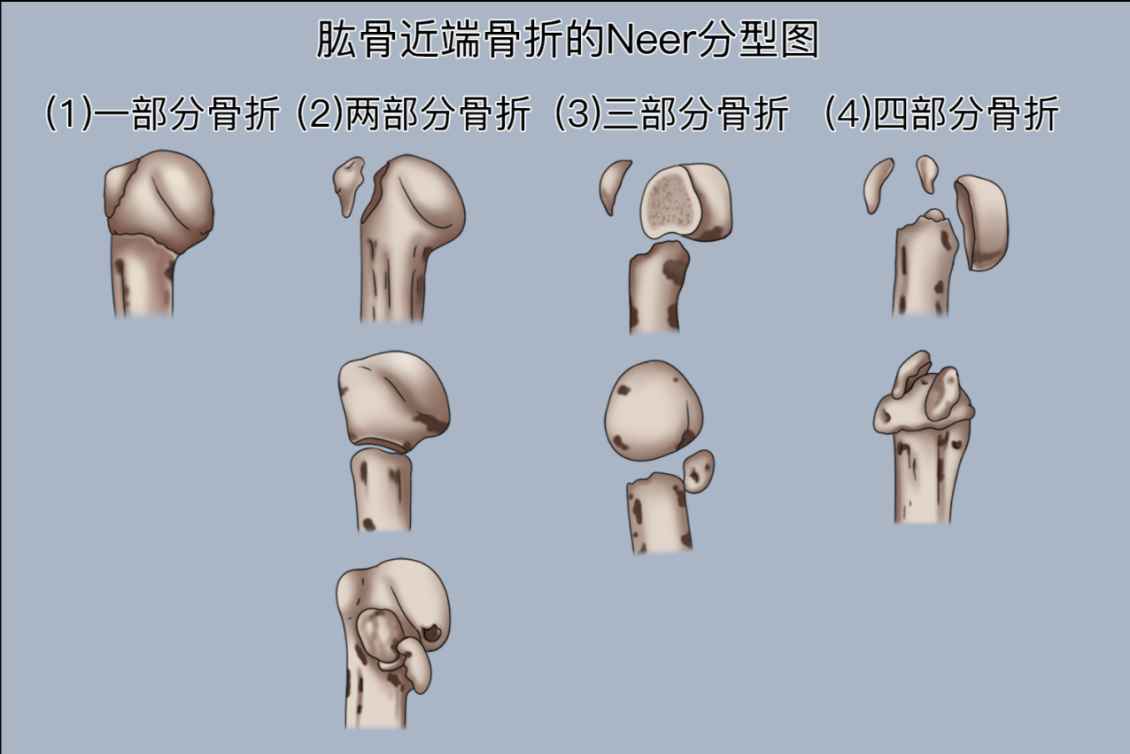 微信图片_20250606155505