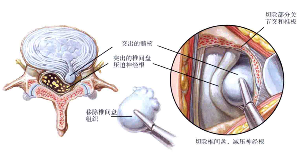 微信图片_2026-01-23_100017_014 微信图片_2026-01-23_100017_014