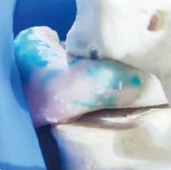 微信图片_2026-01-23_101302_156 微信图片_2026-01-23_101302_156