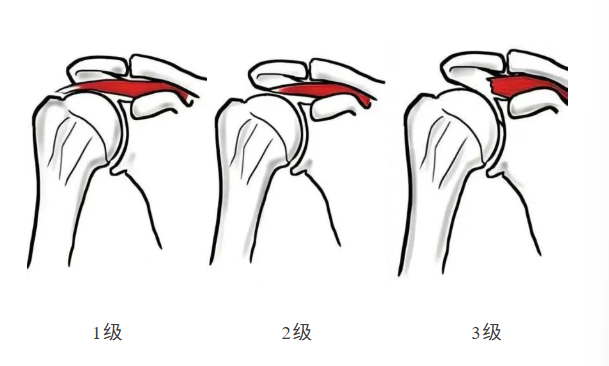 微信图片_20260131125933_641_58 微信图片_20260131125933_641_58