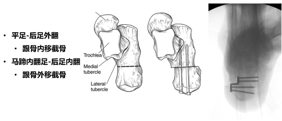 微信图片_2026-01-09_135807_779