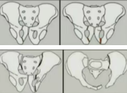 微信图片_20260213152653_676_58 微信图片_20260213152653_676_58