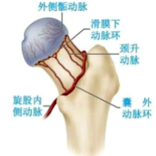 微信图片_2026-03-12_130237_668