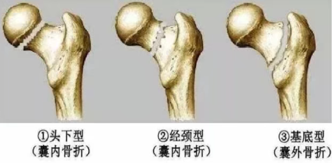 微信图片_2026-03-12_130241_764