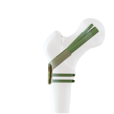 微信图片_2026-03-12_130352_429