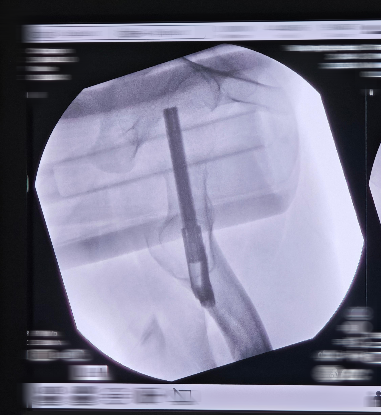 微信图片_2026-03-12_130550_229