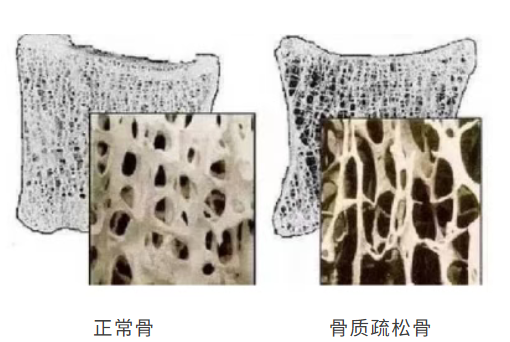 微信图片_20260320144103_100_205 微信图片_20260320144103_100_205