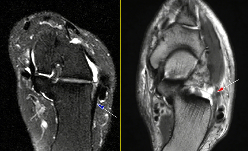 微信图片_2026-03-03_125533_569