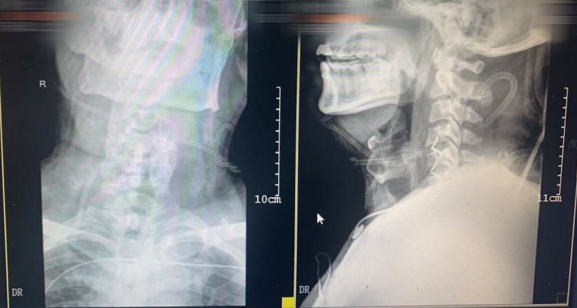 微信图片_2026-04-22_130749_023