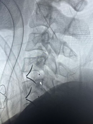 微信图片_2026-04-22_130752_088