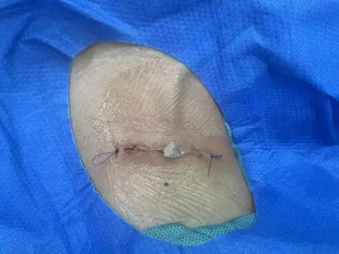 微信图片_2026-04-24_170959_004