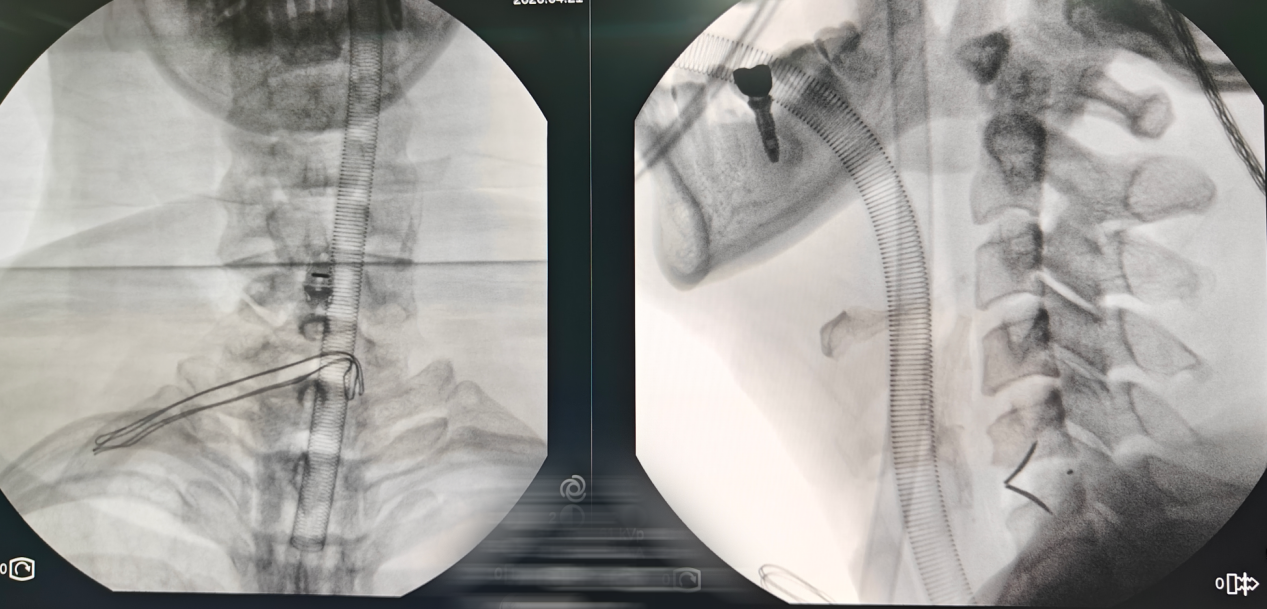 微信图片_2026-04-24_171040_629