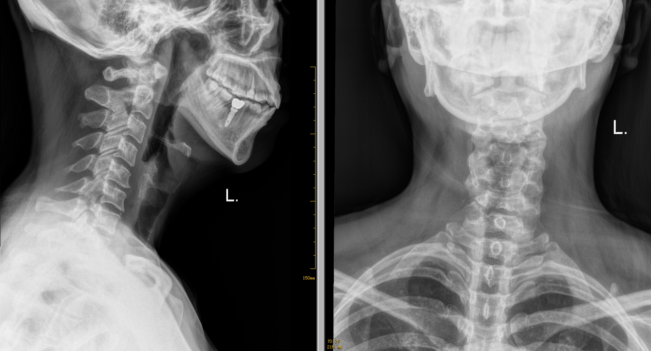 微信图片_2026-04-24_170517_875