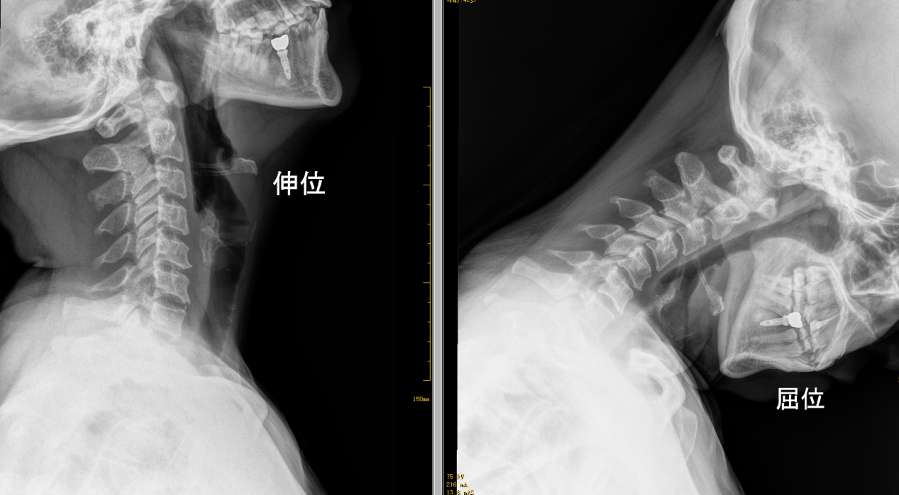 微信图片_2026-04-24_170601_957