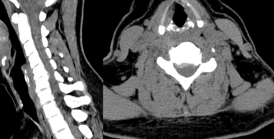微信图片_2026-04-24_170628_205