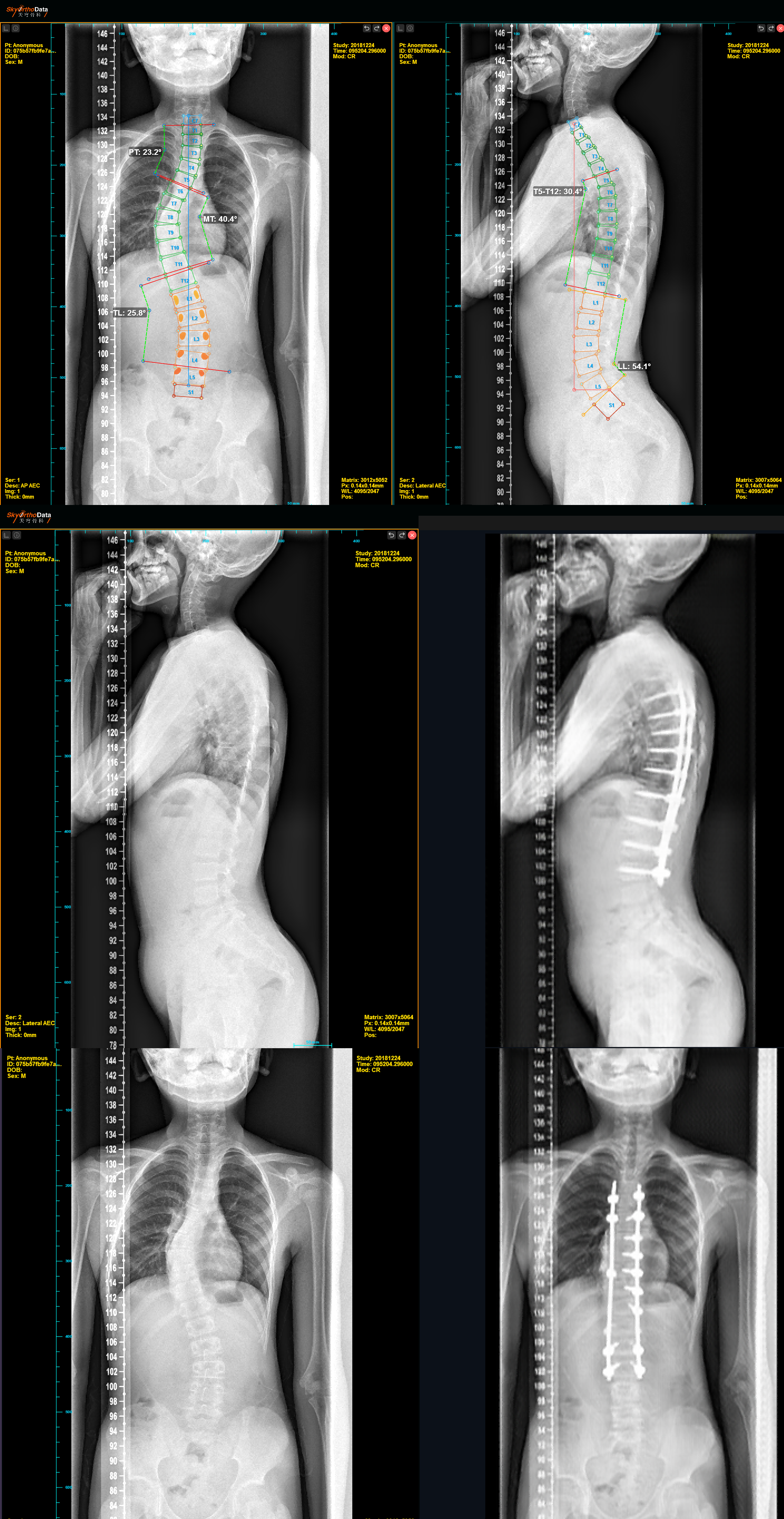 41bf338c135545ae855b93f79ae06f53