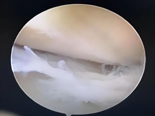 微信图片_2026-04-30_150313_577