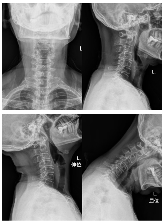 微信图片_20260407112401_818_58