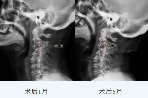 微信图片_20260608131636_960_58