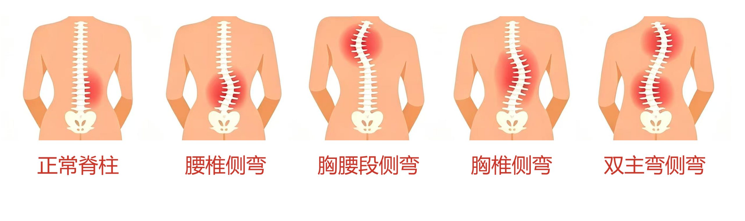 微信图片_2026-09-18_092111_678
